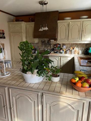 Chambres Chez Nanou Avec Petit Dejeuner Chimay Buitenkant foto